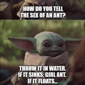 Meet your Posher, Richard